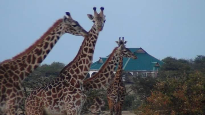 Narasha Homestay - Maasai Mara Talek Esterno foto