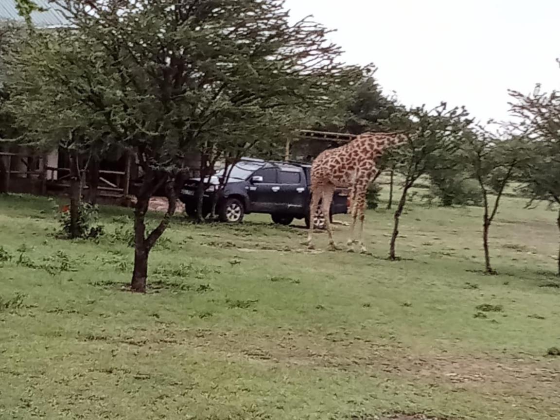 Narasha Homestay - Maasai Mara Talek Esterno foto