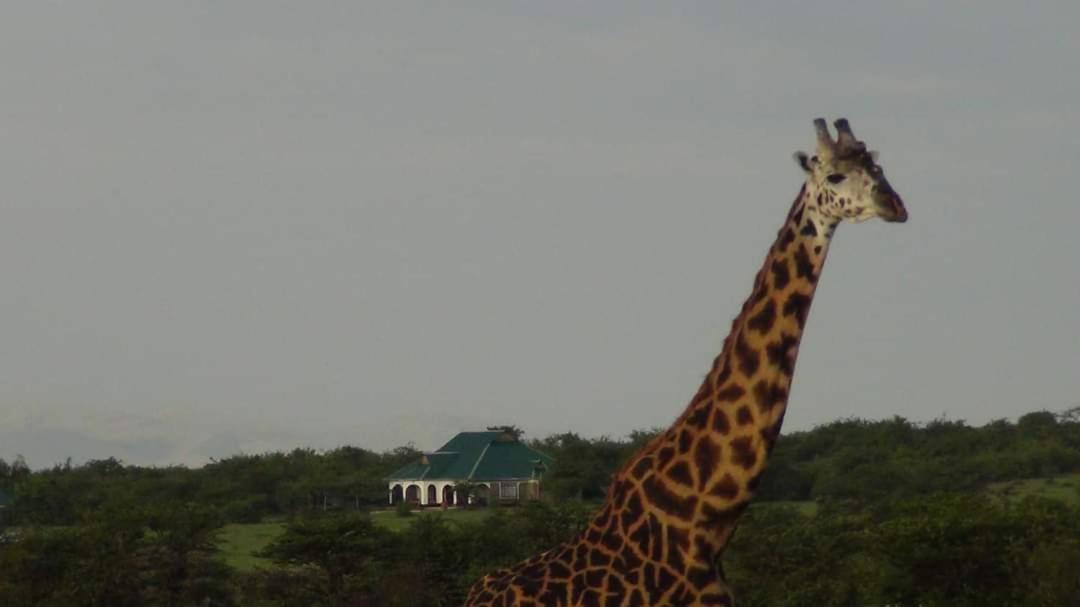 Narasha Homestay - Maasai Mara Talek Esterno foto