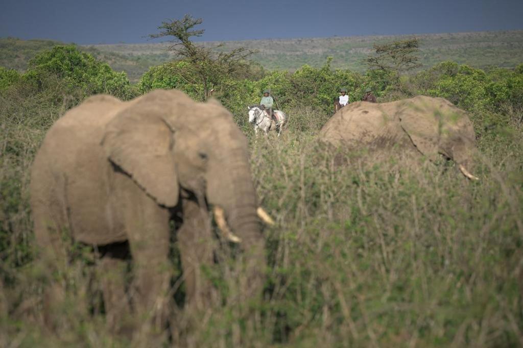 Narasha Homestay - Maasai Mara Talek Esterno foto