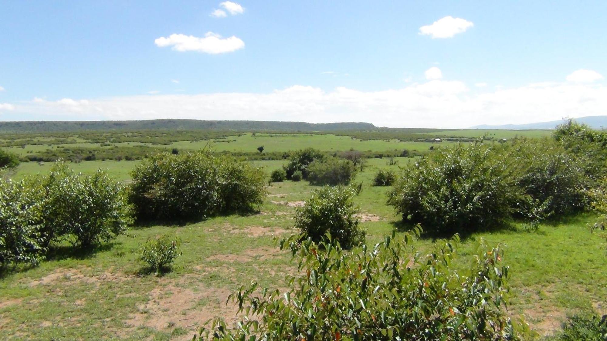 Narasha Homestay - Maasai Mara Talek Camera foto