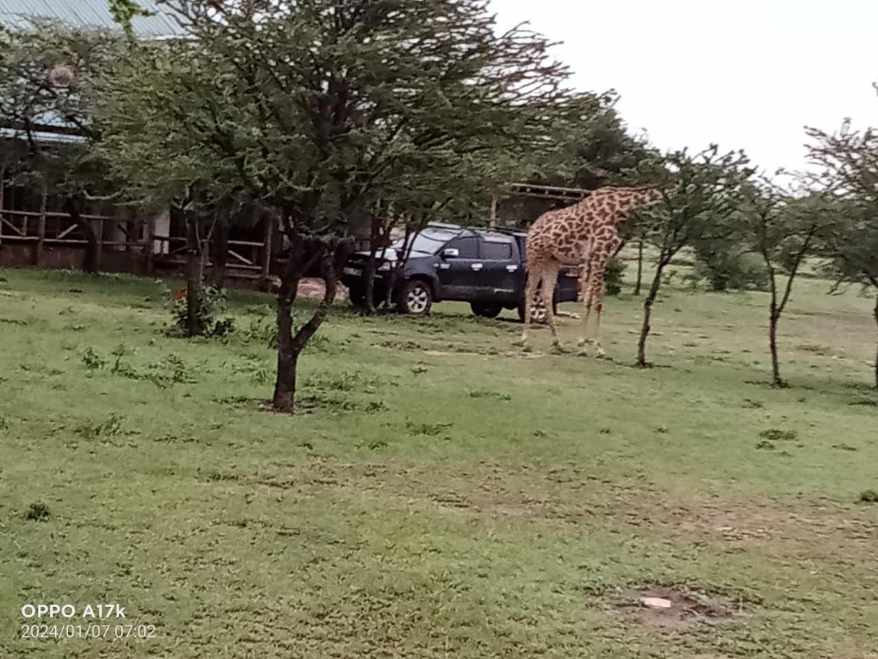 Narasha Homestay - Maasai Mara Talek Camera foto