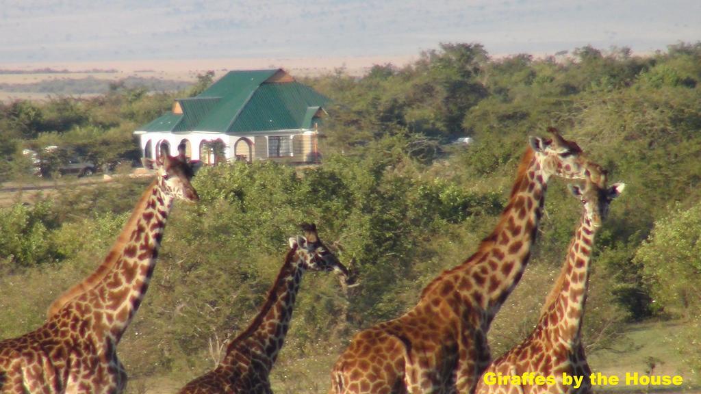 Narasha Homestay - Maasai Mara Talek Esterno foto