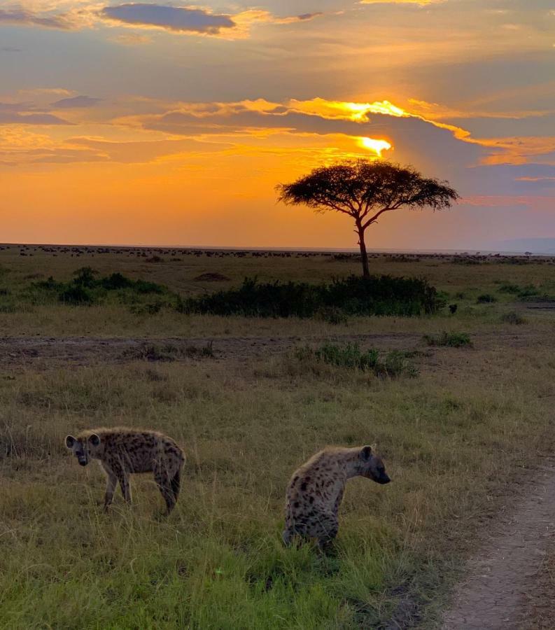 Narasha Homestay - Maasai Mara Talek Esterno foto